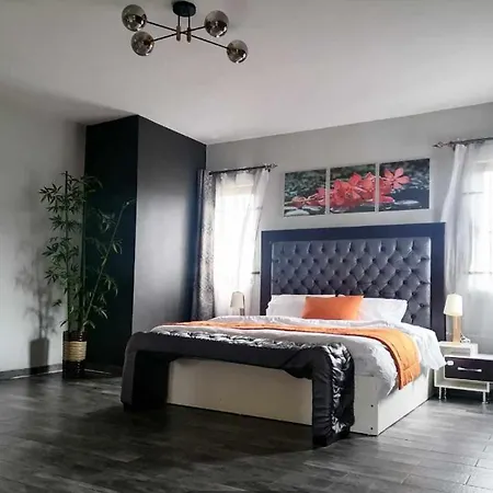 Sunrise Terrace View Studio